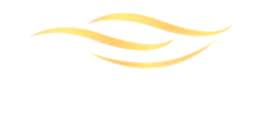 Lux VIP Limo