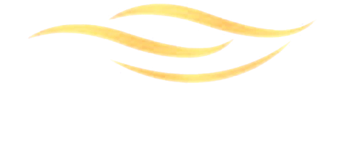 Lux VIP Services, LLC — Exclusive Transportation Services